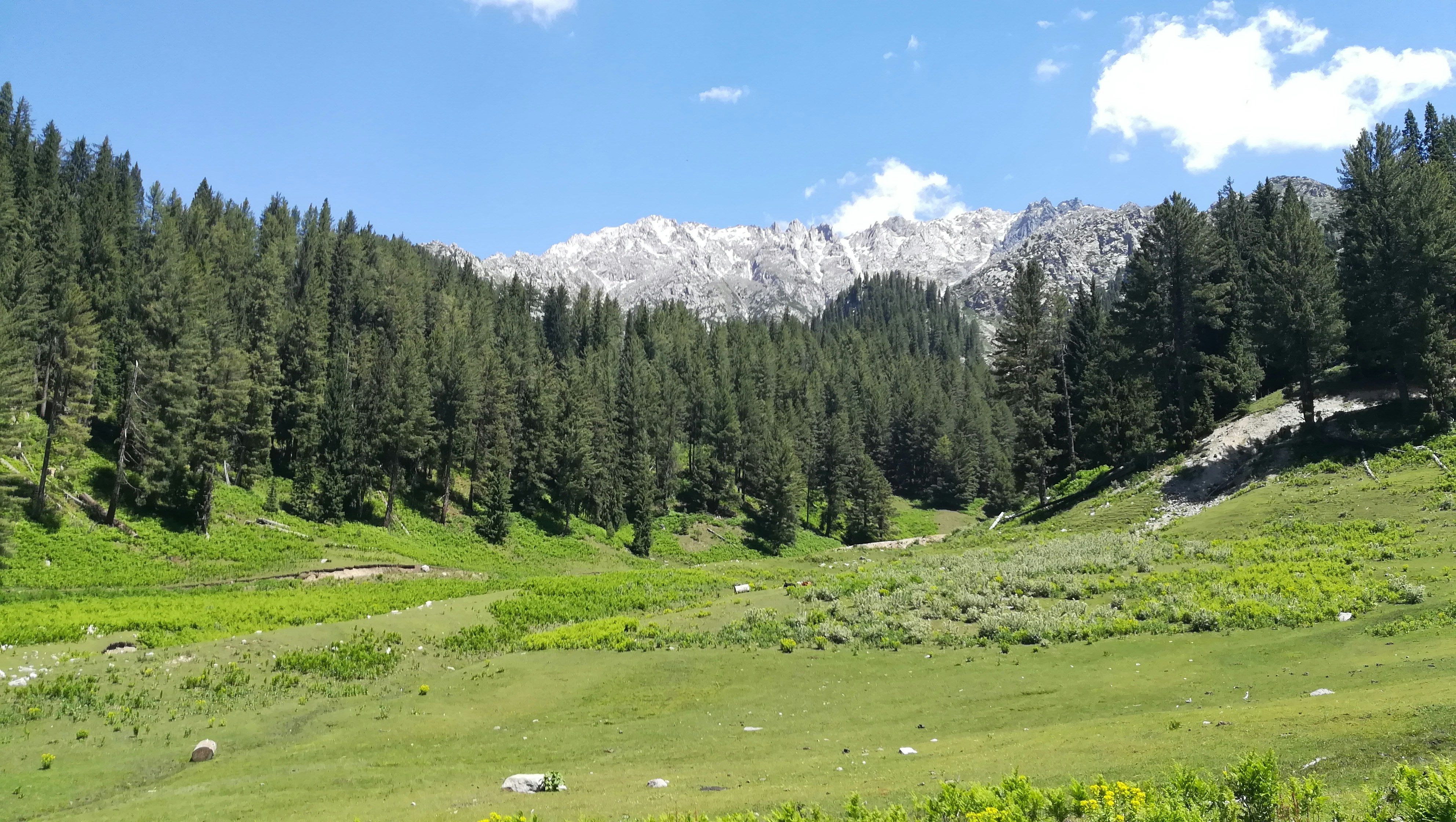 Kumrat Valley Adventure Tour